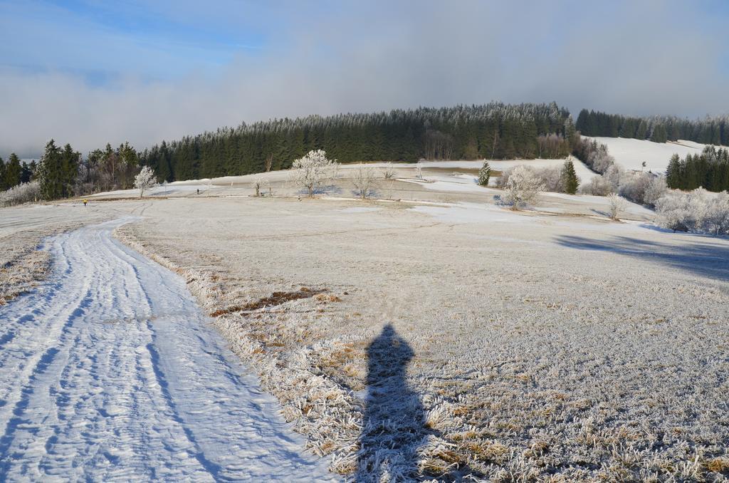 Beata Chalet Horni Alberice